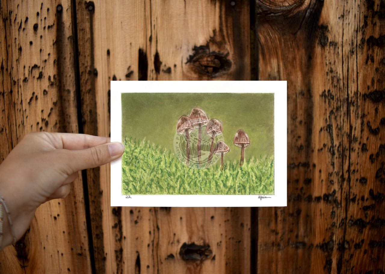 Landscape Postcard - 22