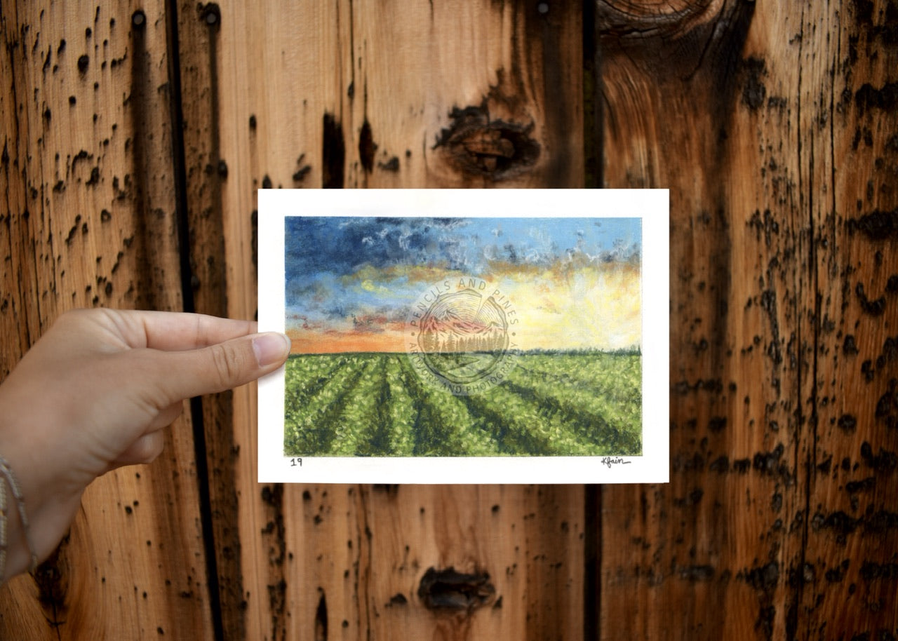 Landscape Postcard - 19