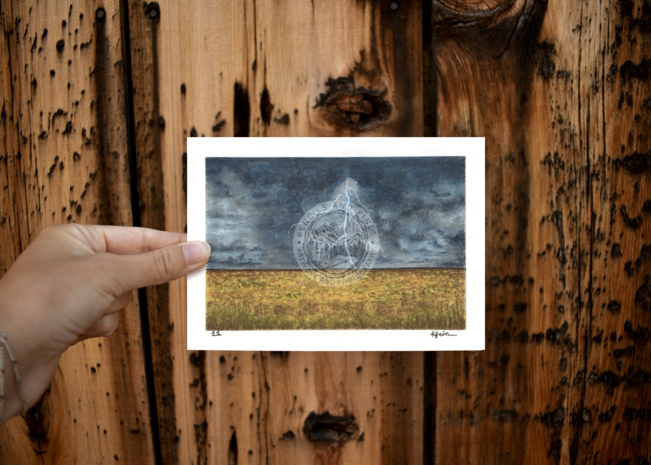 Landscape Postcard - 11