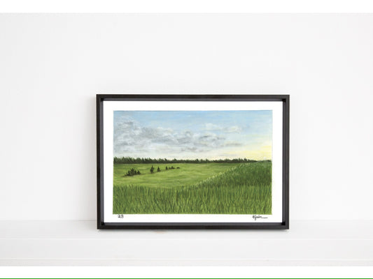 Landscape Postcard - 28