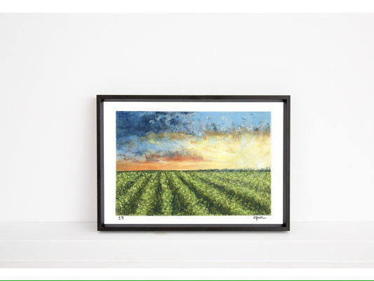 Landscape Postcard - 19