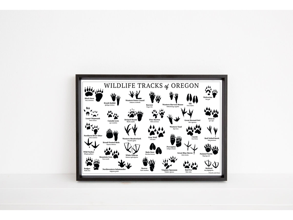 Wildlife Tracks of Oregon Chart - Open Edition Print