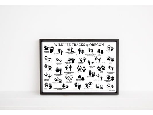 Wildlife Tracks of Oregon Chart - Open Edition Print