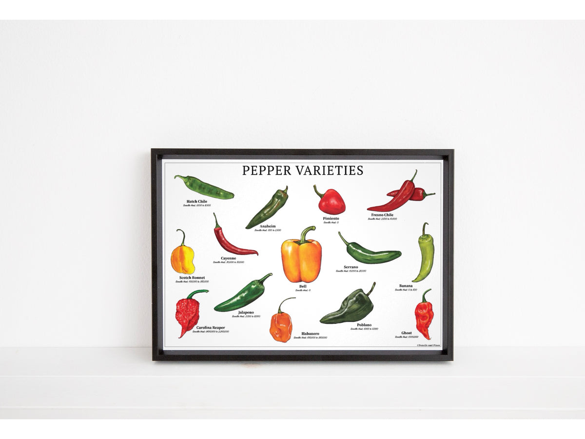 Pepper Varieties Chart - Open Edition Print