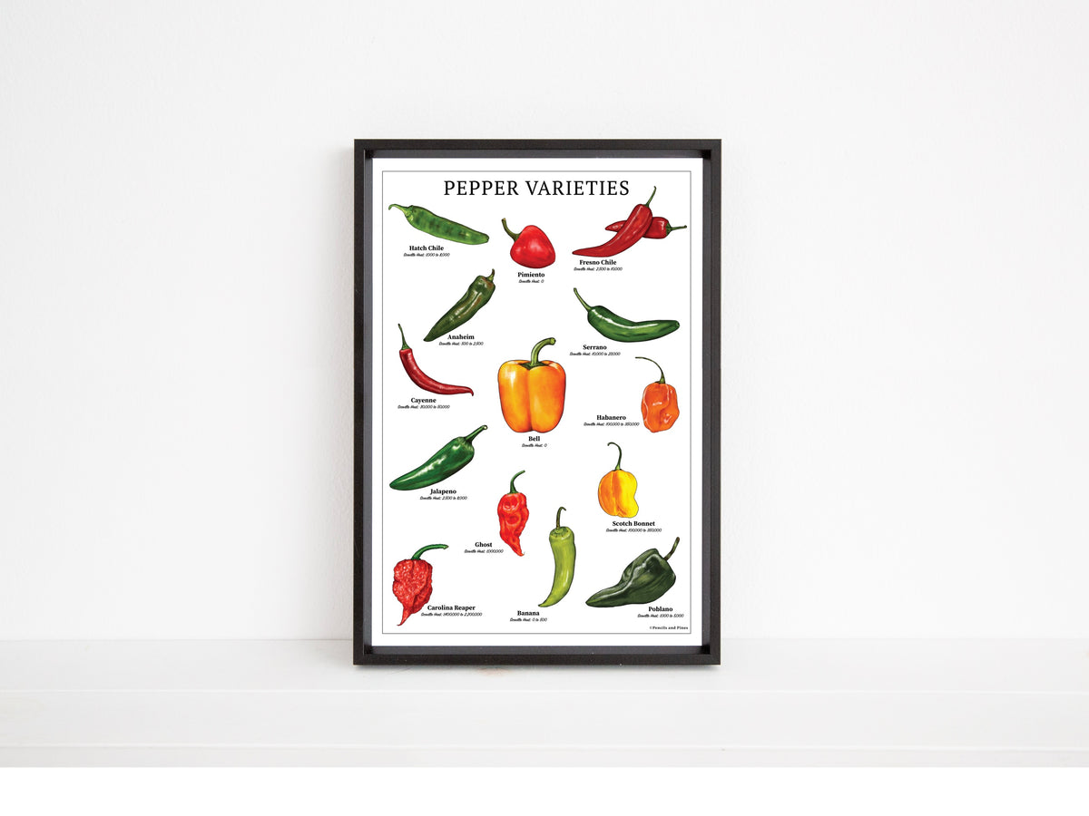 Pepper Varieties Chart - Open Edition Print