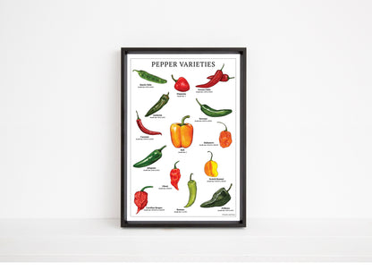 Pepper Varieties Chart - Open Edition Print