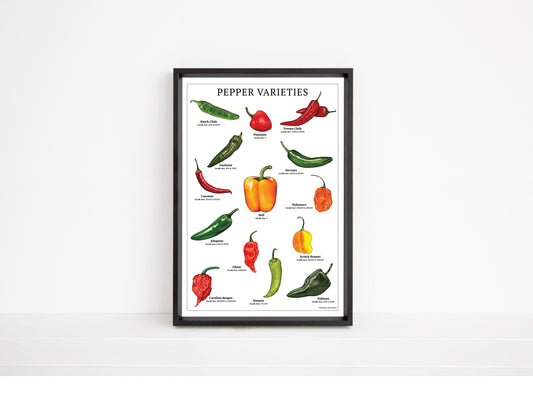 Pepper Varieties Chart - Open Edition Print