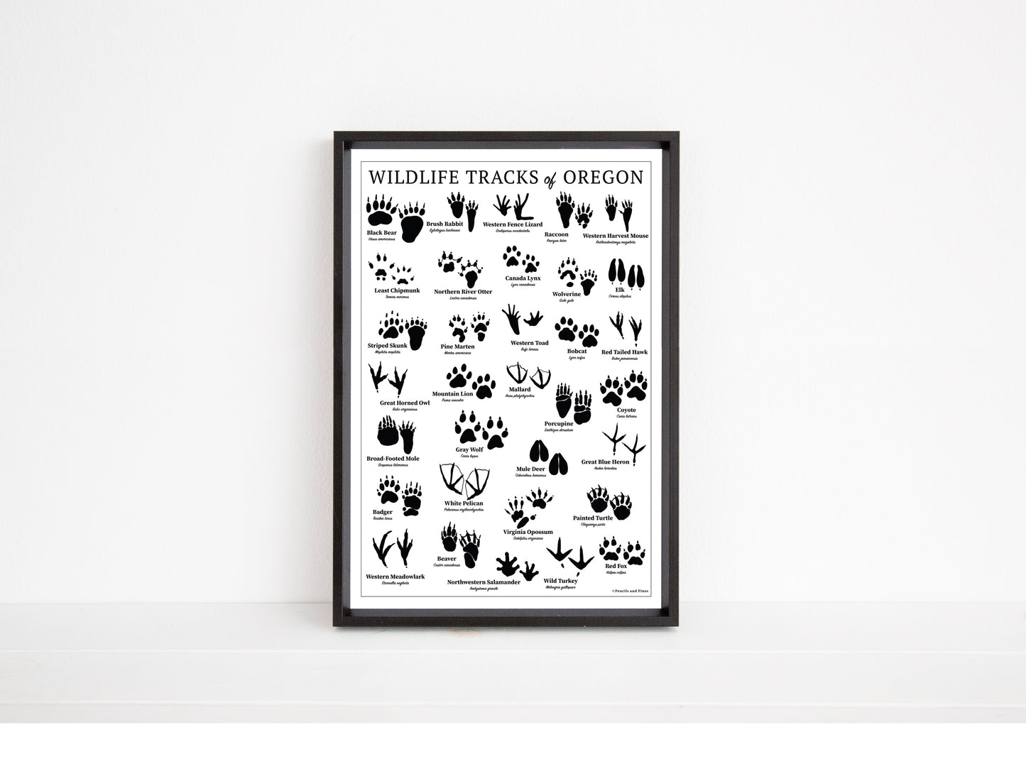 Wildlife Tracks of Oregon Chart - Open Edition Print
