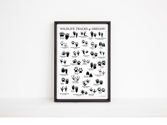 Wildlife Tracks of Oregon Chart - Open Edition Print