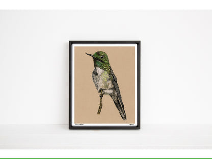 Festive Coquette - Open Edition Print