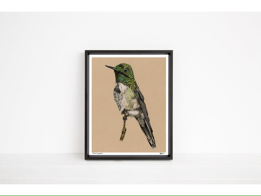 Festive Coquette - Open Edition Print