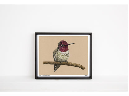 Anna’s Hummingbird - Limited Edition Print