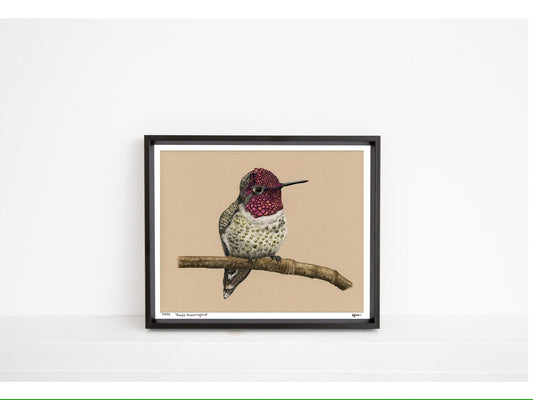 Anna’s Hummingbird - Limited Edition Print