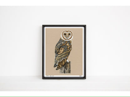Barn Owl - Limited Edition Print