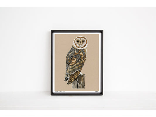 Barn Owl - Limited Edition Print