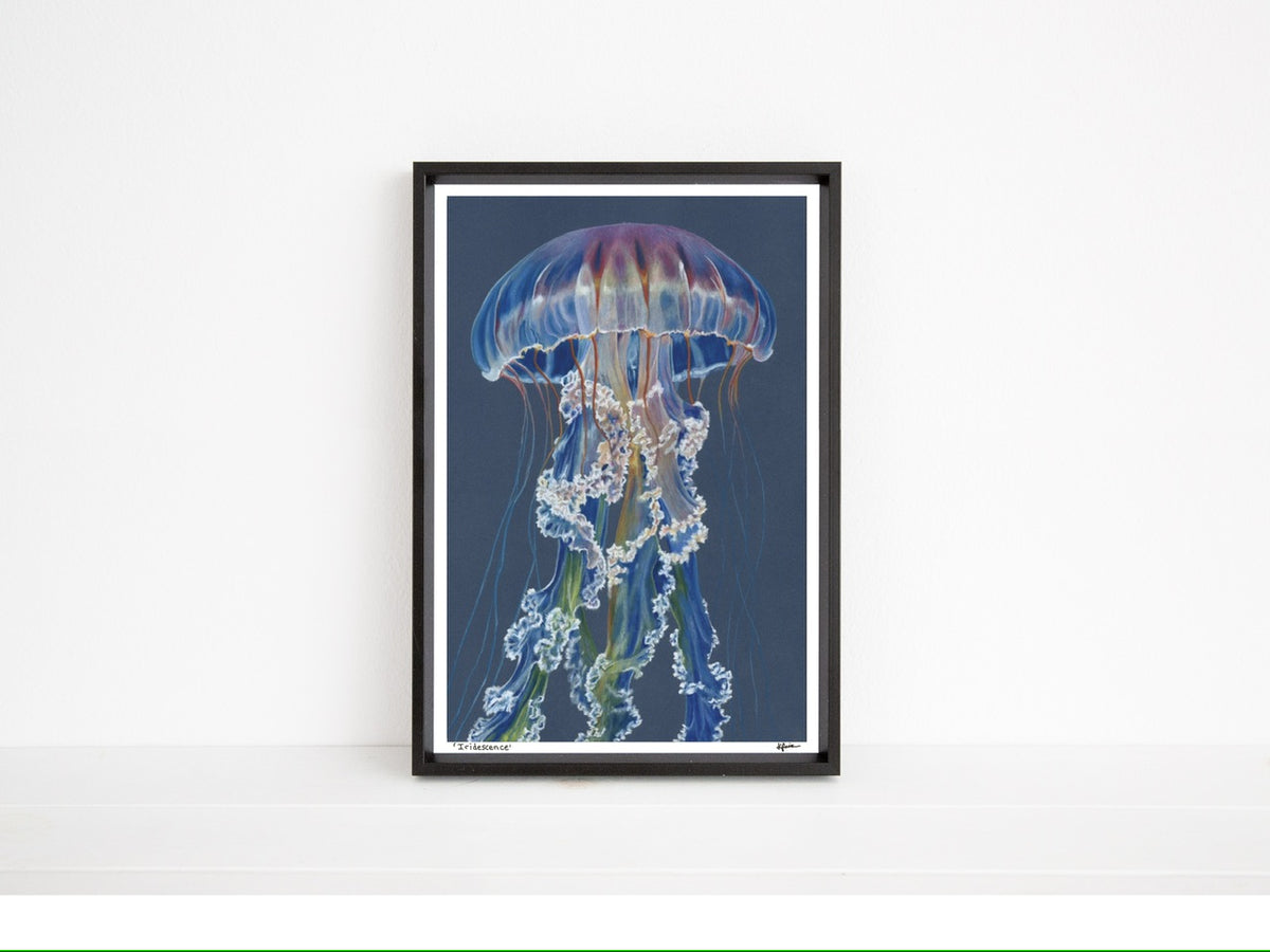 Iridescence - Open Edition Print