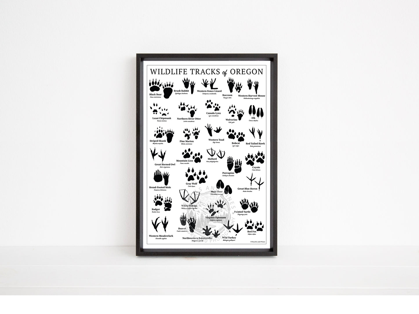 Wildlife Tracks of Oregon Chart - Open Edition Print