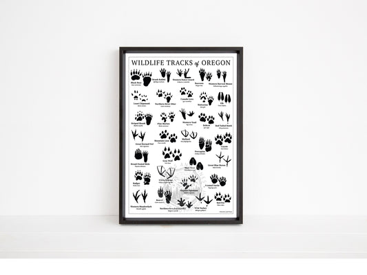 Wildlife Tracks of Oregon Chart - Open Edition Print