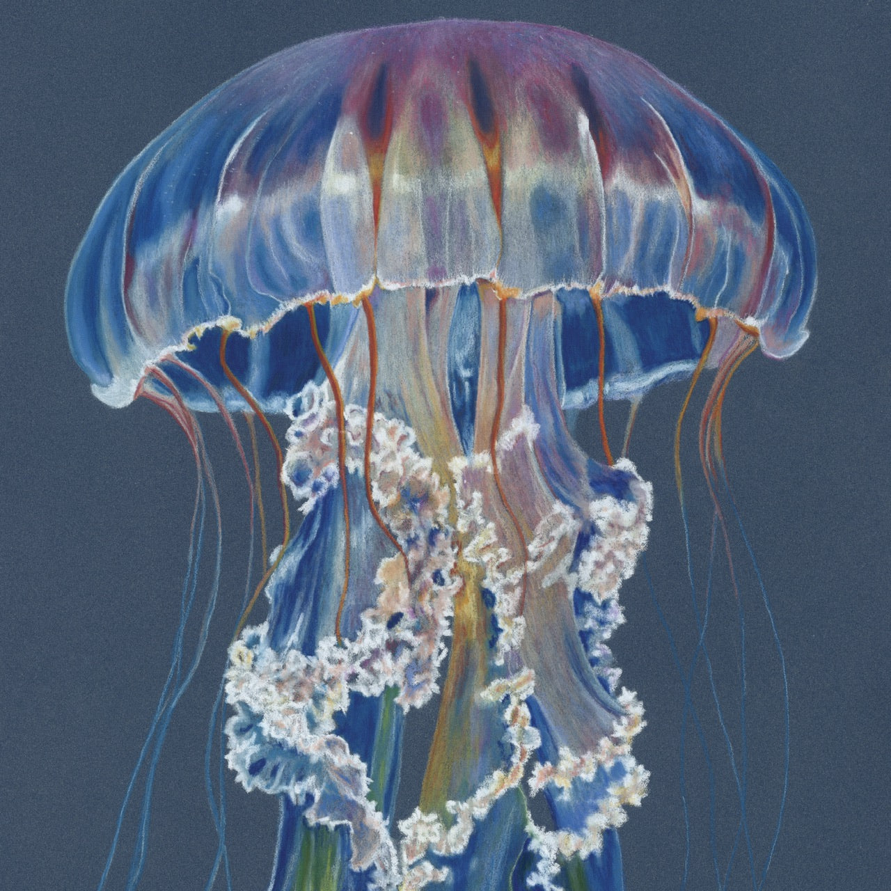 Iridescence - Open Edition Print