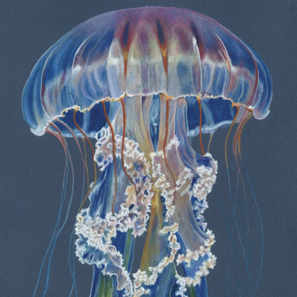 Iridescence - Open Edition Print