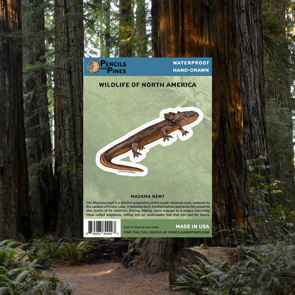 Mazama Newt Sticker