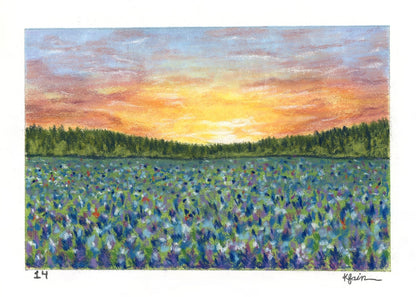 Landscape Postcard - 14