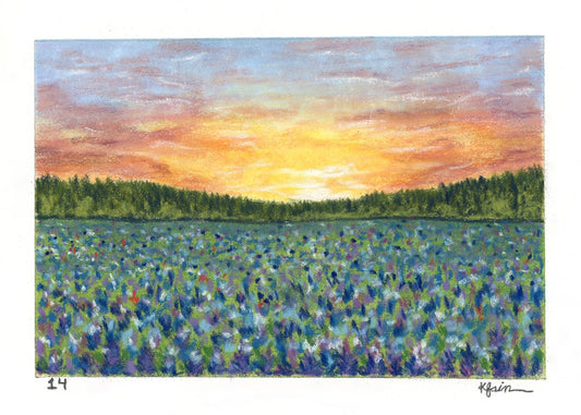 Landscape Postcard - 14
