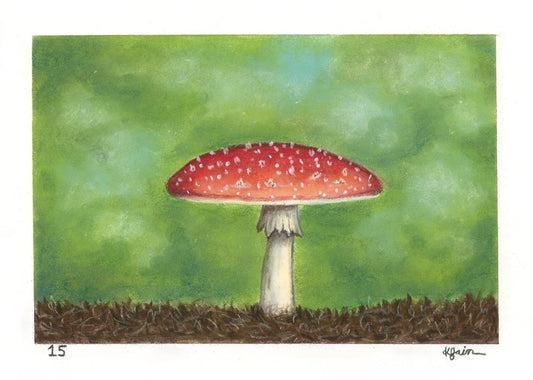 Landscape Postcard - 15