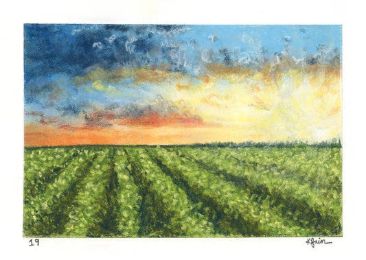 Landscape Postcard - 19