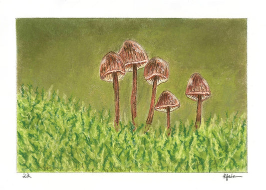 Landscape Postcard - 22