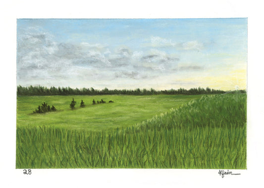 Landscape Postcard - 28