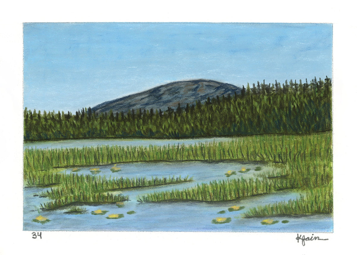 Landscape Postcard - 34