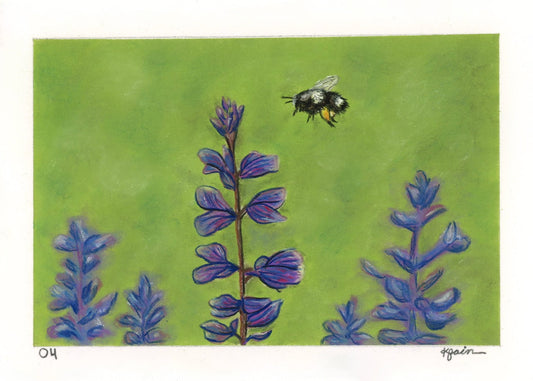 Landscape Postcard - 04