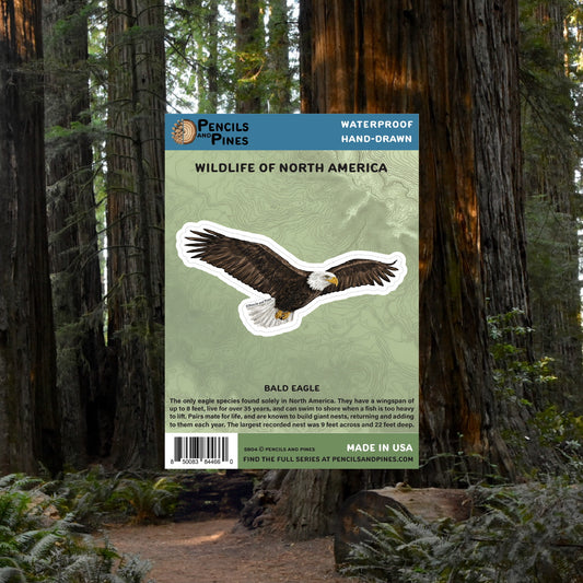 Bald Eagle Sticker