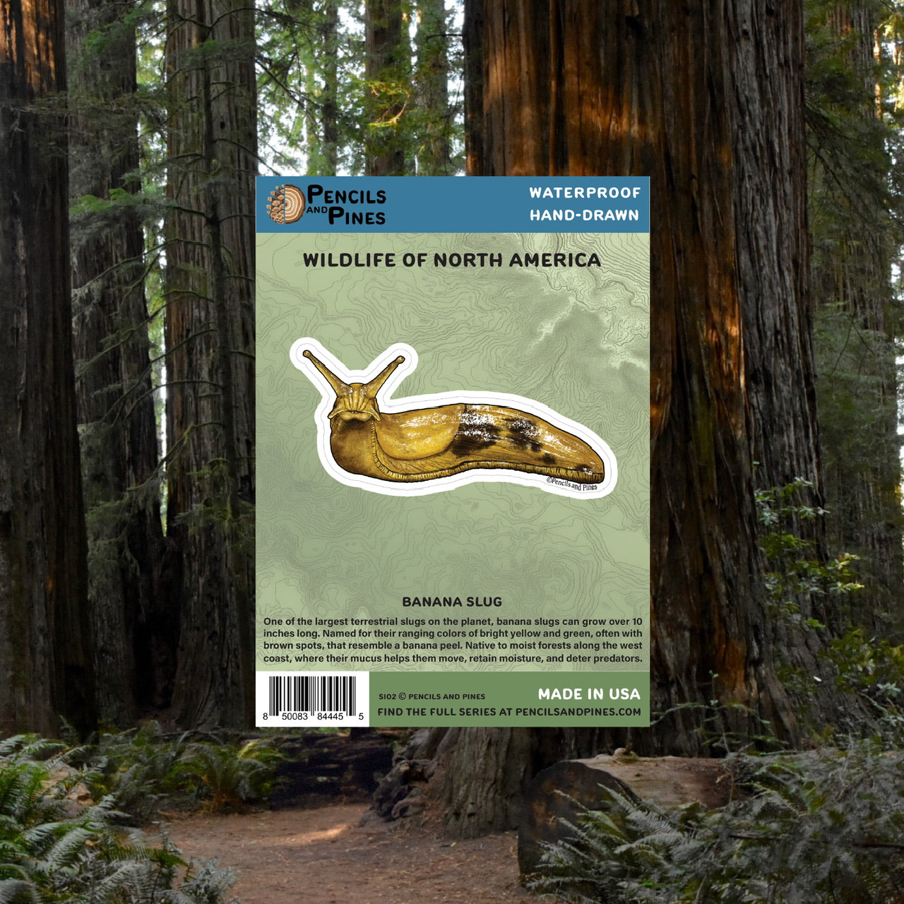 Banana Slug Sticker