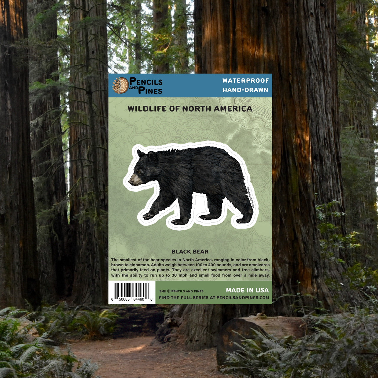 Black Bear Sticker