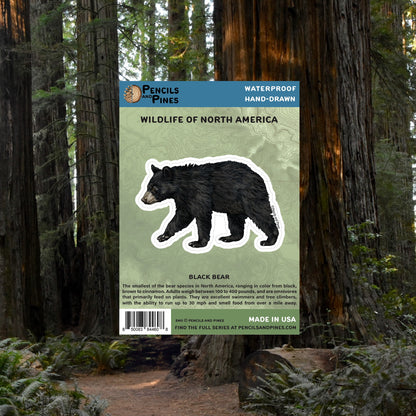 Black Bear Sticker