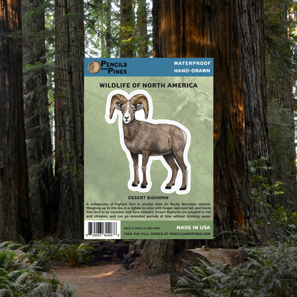 Desert Bighorn Sticker