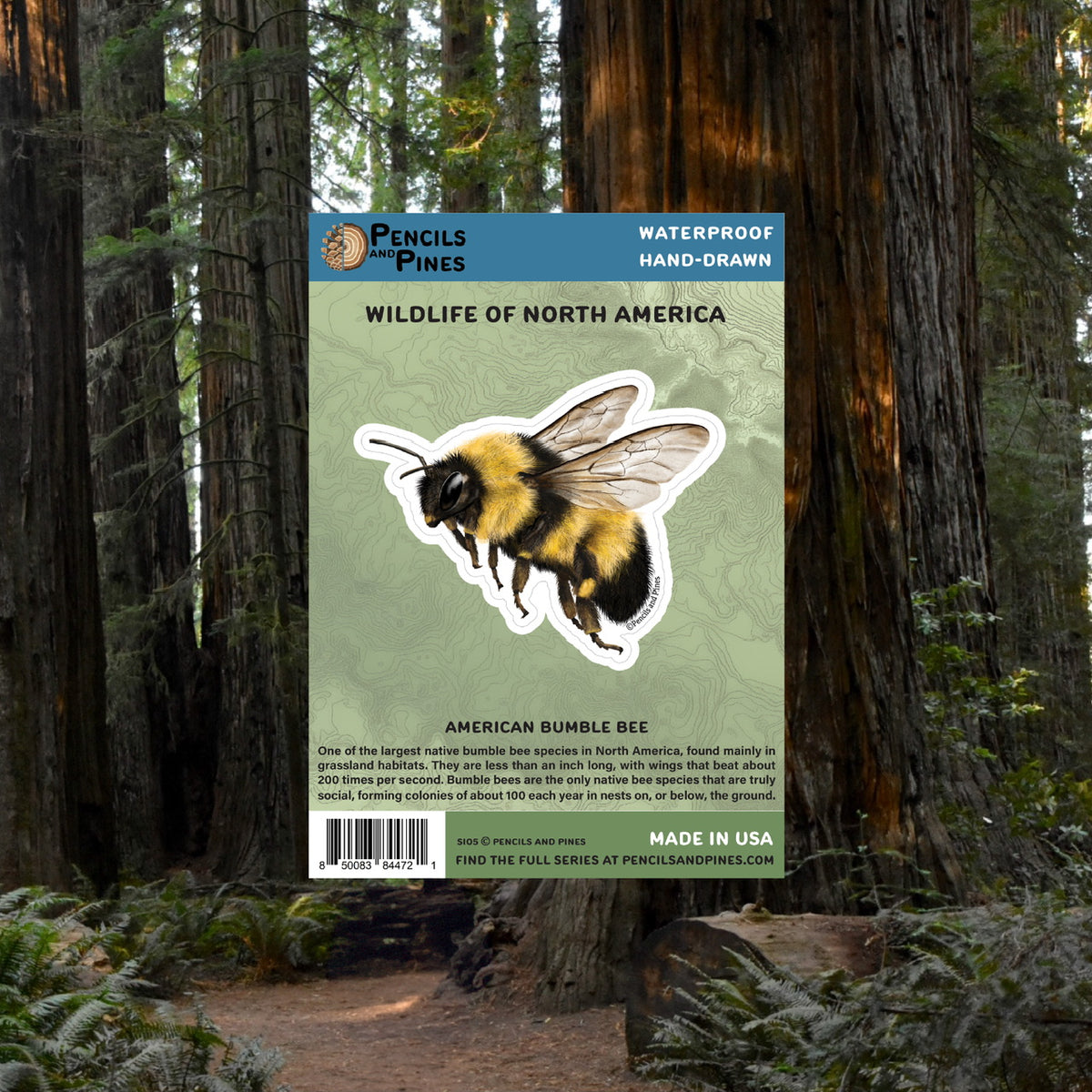 American Bumble Bee Sticker