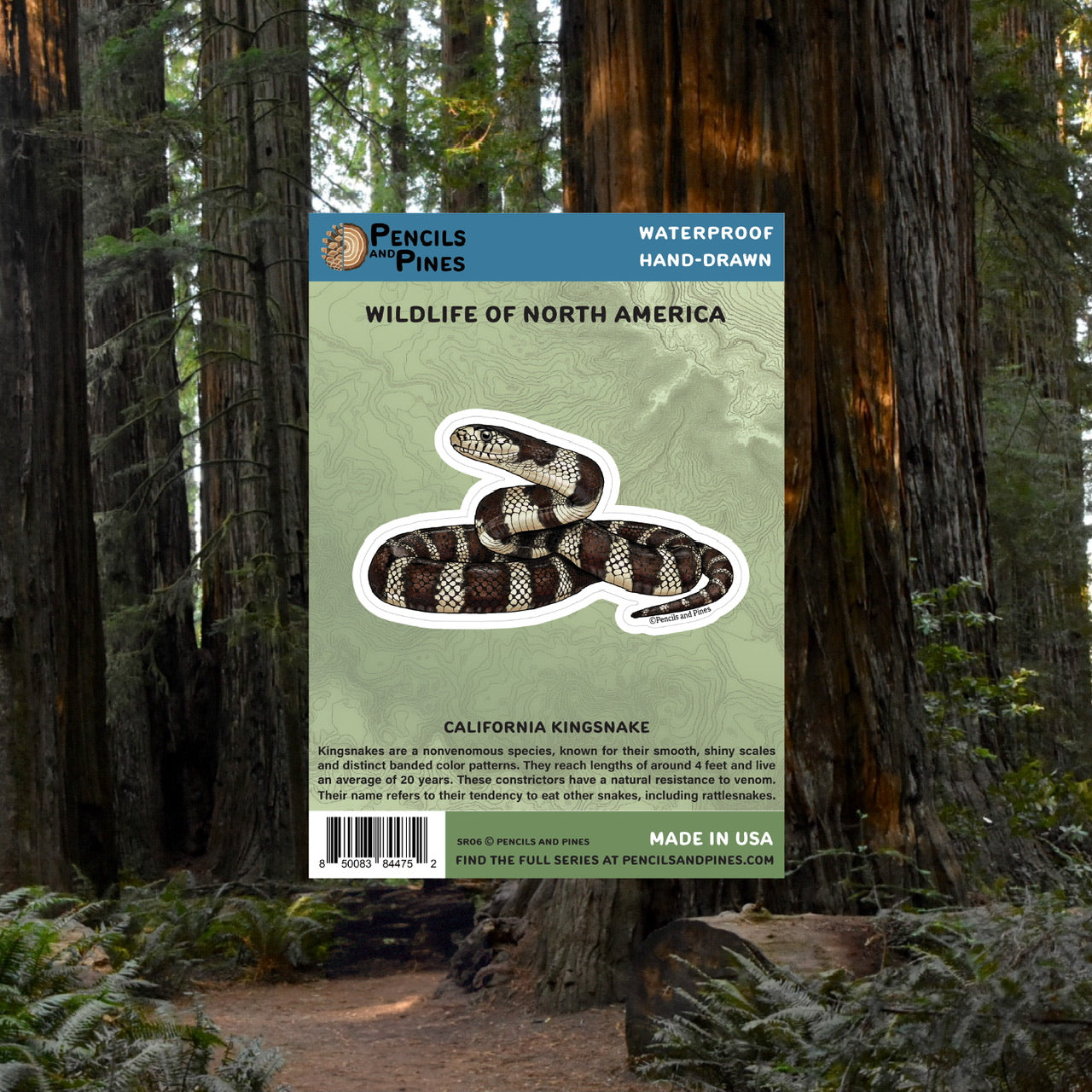 California Kingsnake Sticker