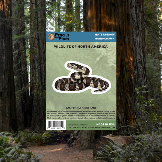 California Kingsnake Sticker