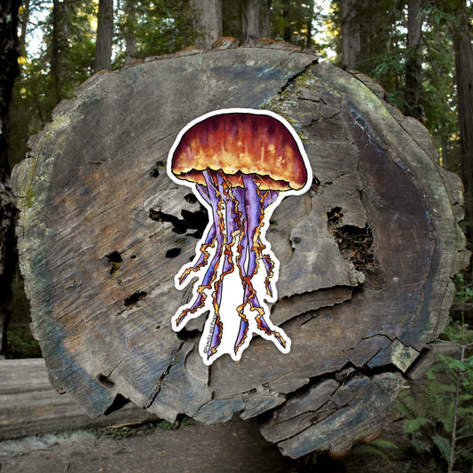 Jelly Fish Sticker