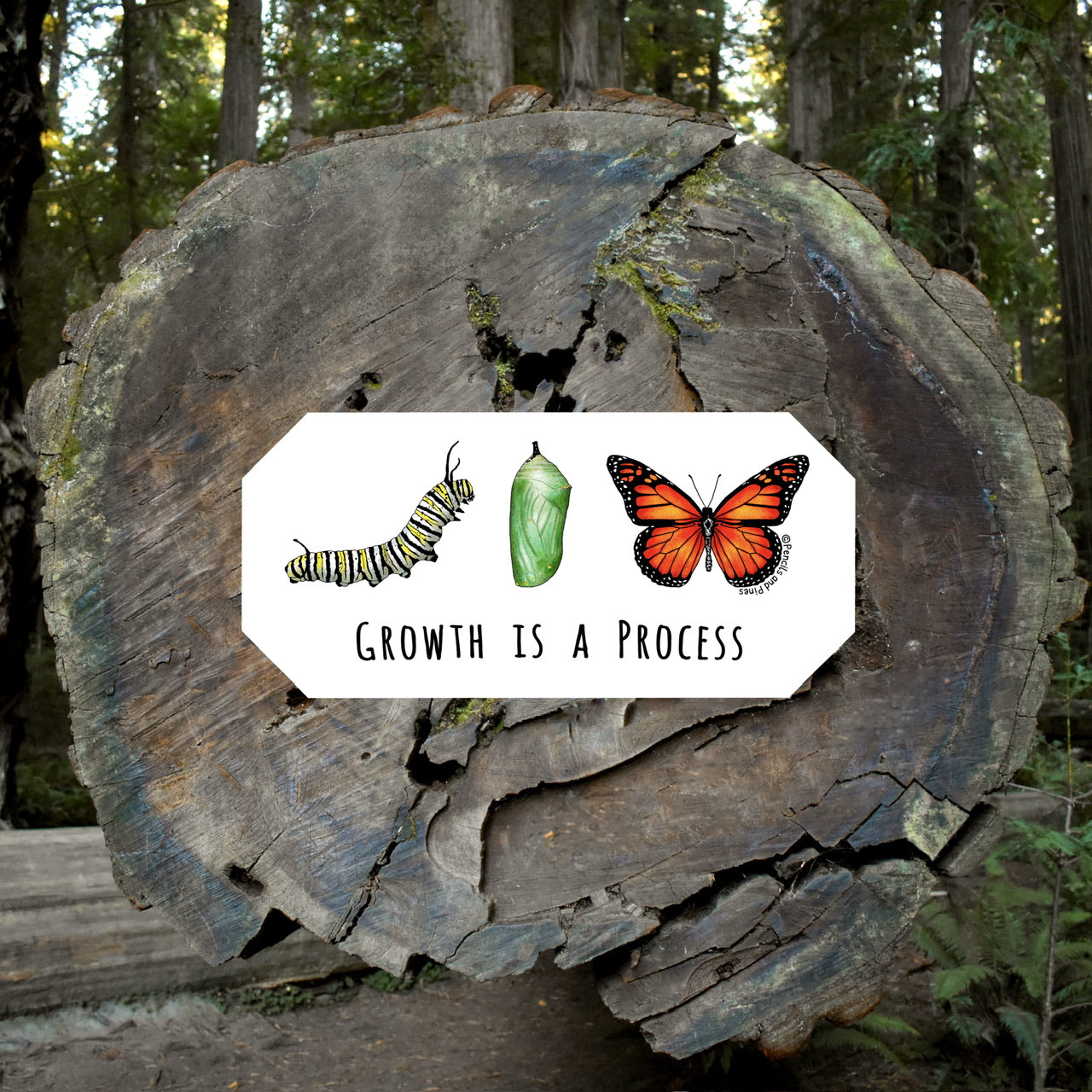 Growth Is A Process Sticker