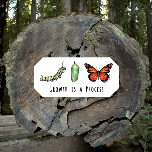 Growth Is A Process Sticker