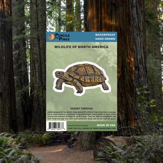 Desert Tortoise Sticker