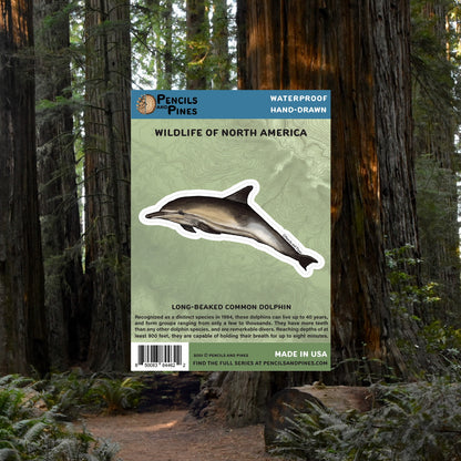 Long-Beaked Common Dolphin Sticker