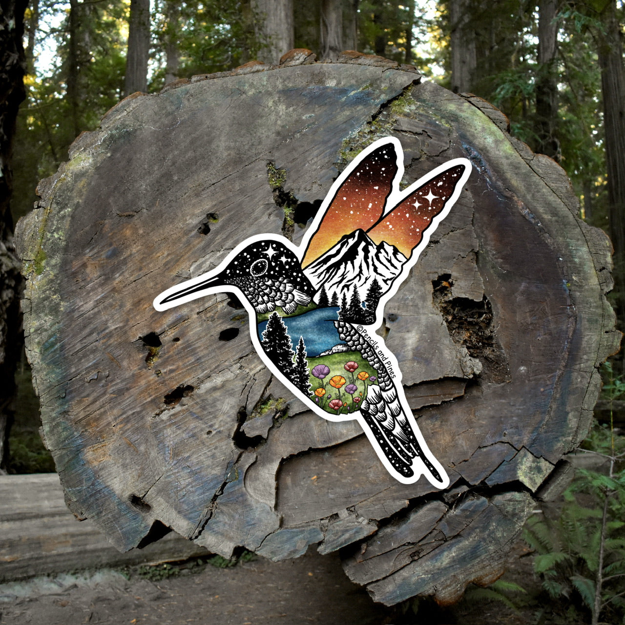 Hummingbird Sticker
