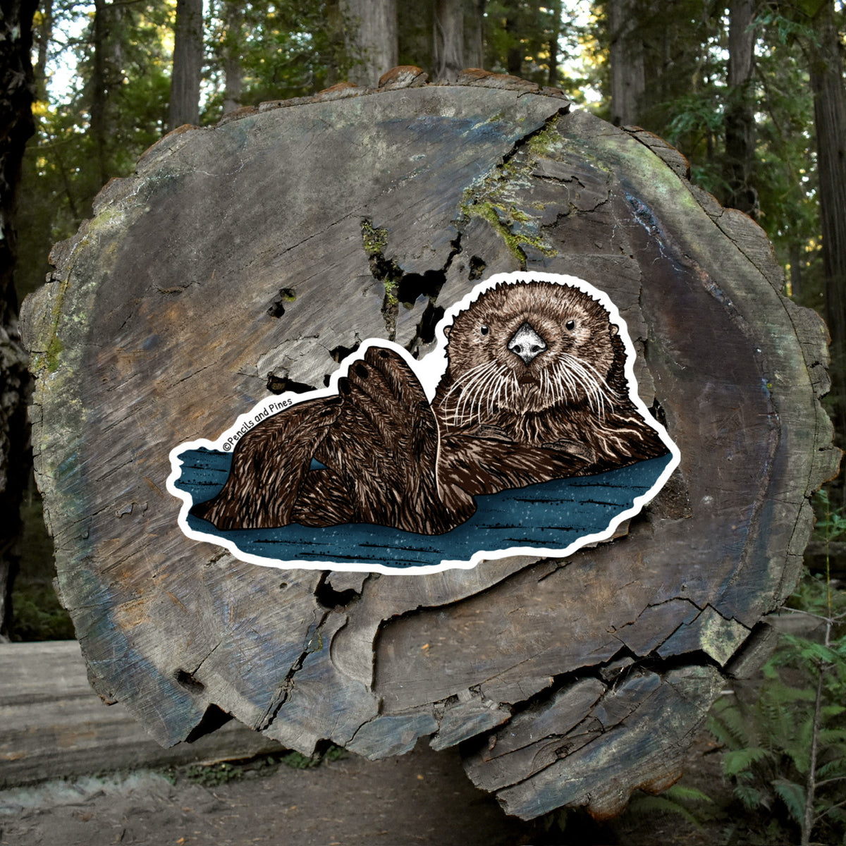 Sea Otter Sticker