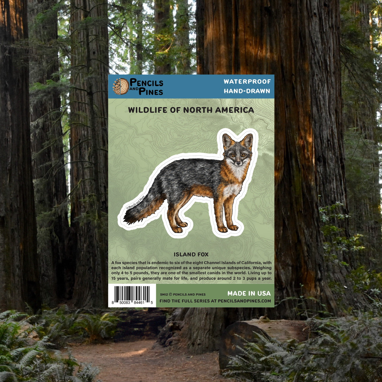 Island Fox Sticker