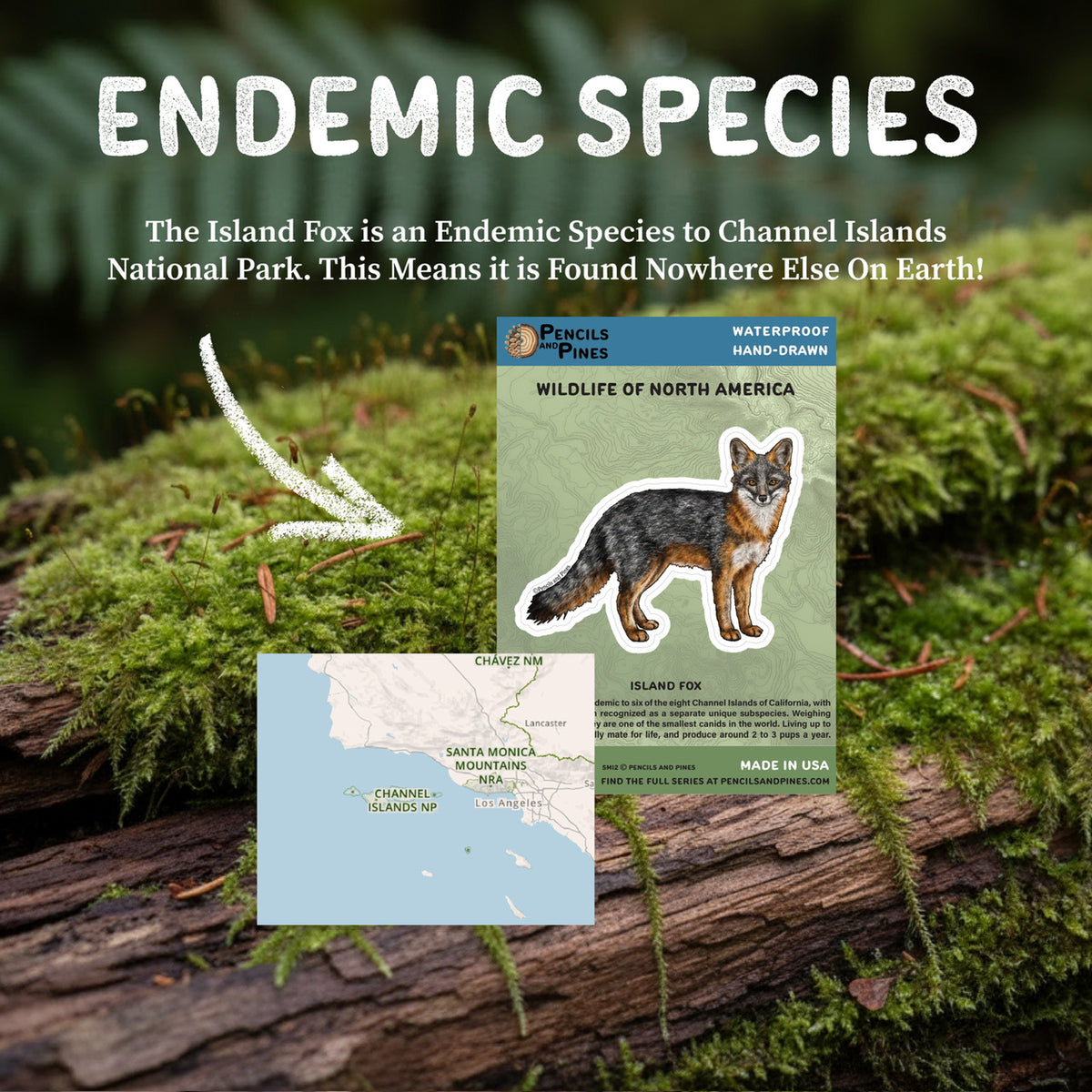 Island Fox Sticker